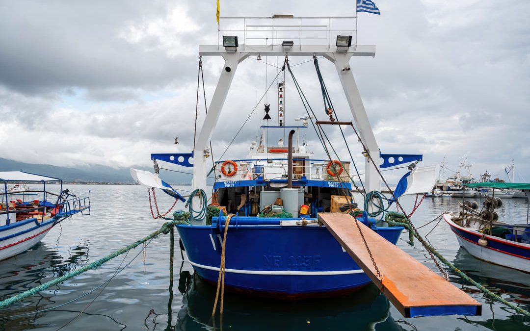 Del Barco a la Pantalla: Cómo el Sector Pesquero de Santa Pola Está Abrazando la Innovación
