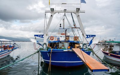 Del Barco a la Pantalla: Cómo el Sector Pesquero de Santa Pola Está Abrazando la Innovación