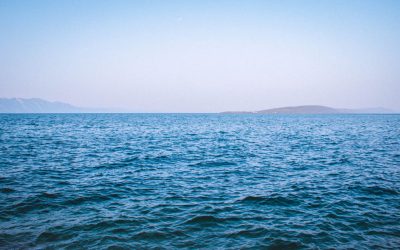 Empresas jóvenes que están modernizando el tejido empresarial de Santa Pola